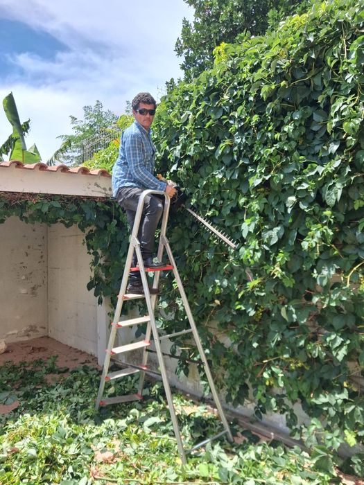 Limpeza de quintais,  logradouro e terrenos em Lisboa
