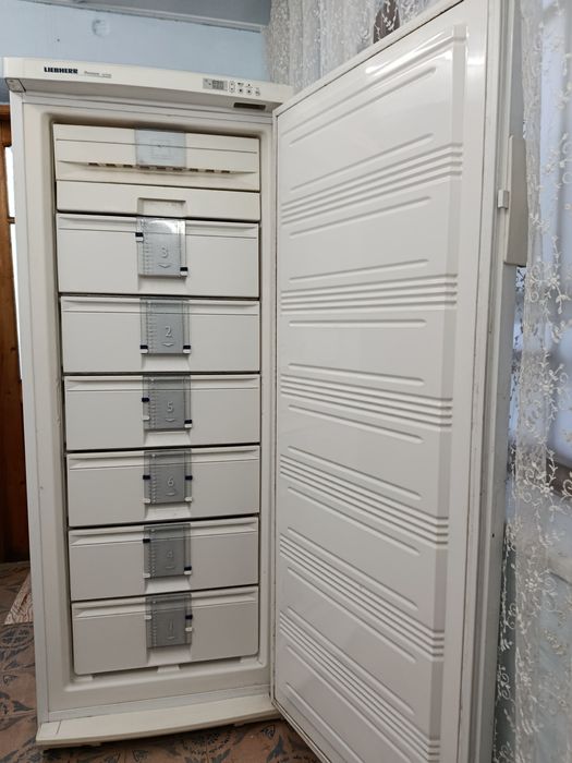 Морозильна камера liebherr (лібхер)