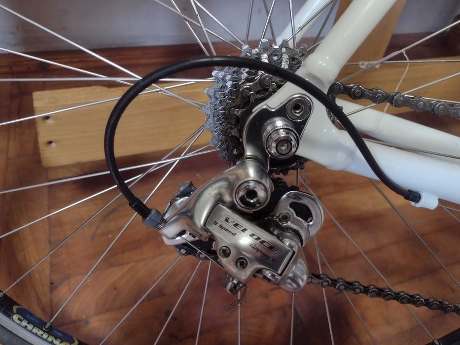 Rower campagnolo Vplas zero+