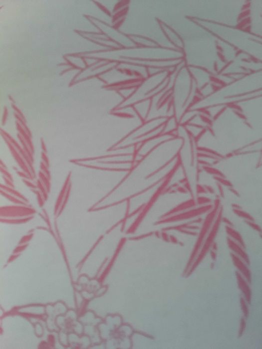 Bluzka w azjatyckim chińskim stylu biała wiśnia sakura ptaki