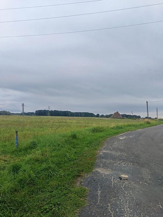 Zdjęcie 6