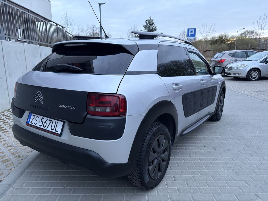 Citroen C4 Cactus 2015 1.6 BlueHDi