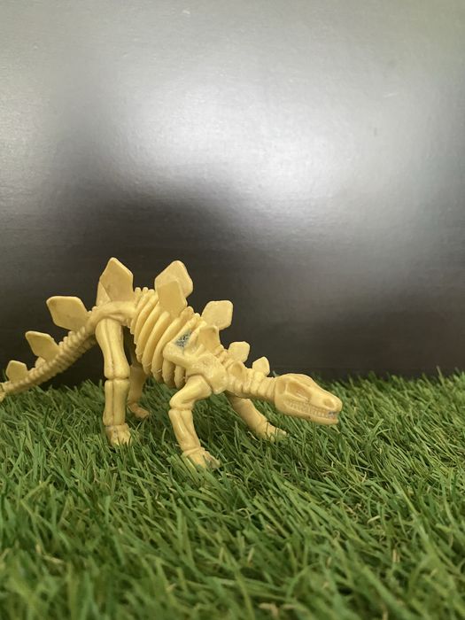 Dinosaur Skeletons64740415236865121