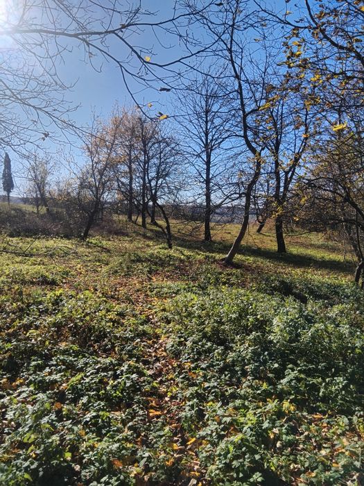 Продам будинок в с. Липина Золочівського району.