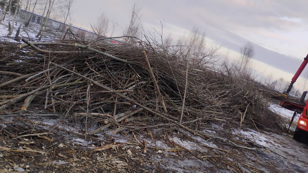 WYCINKA DRZEW/Odbiór drewna i gałęzi