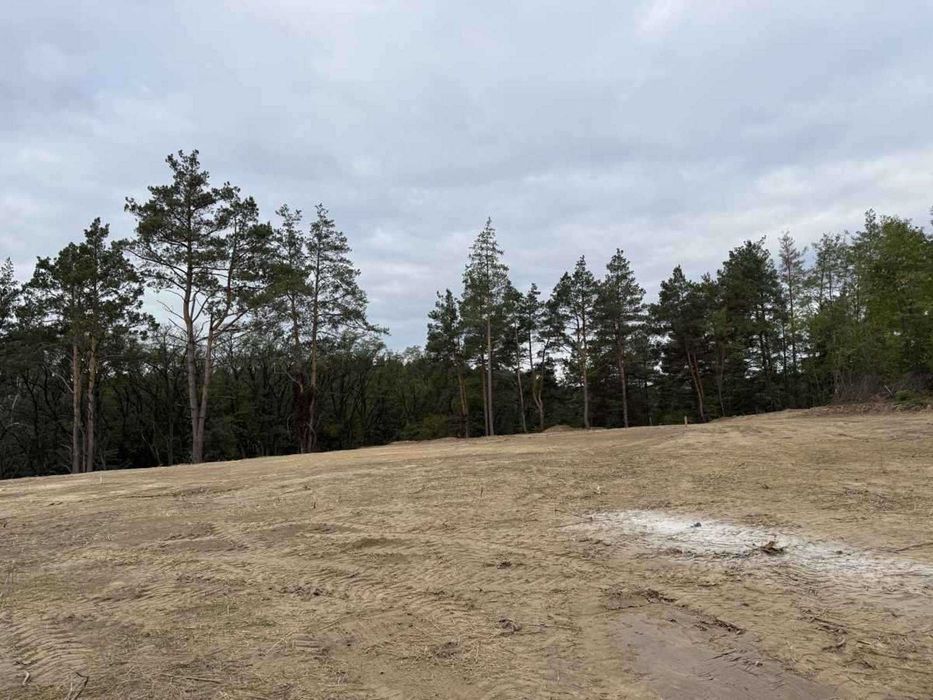 Ваш Сосновий Рай: Котедж Мрії в Гореничах