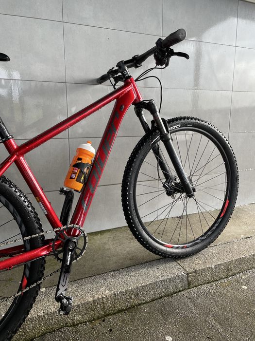 Coluer pragma como nova