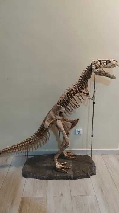 DINOSSAURO de coleção