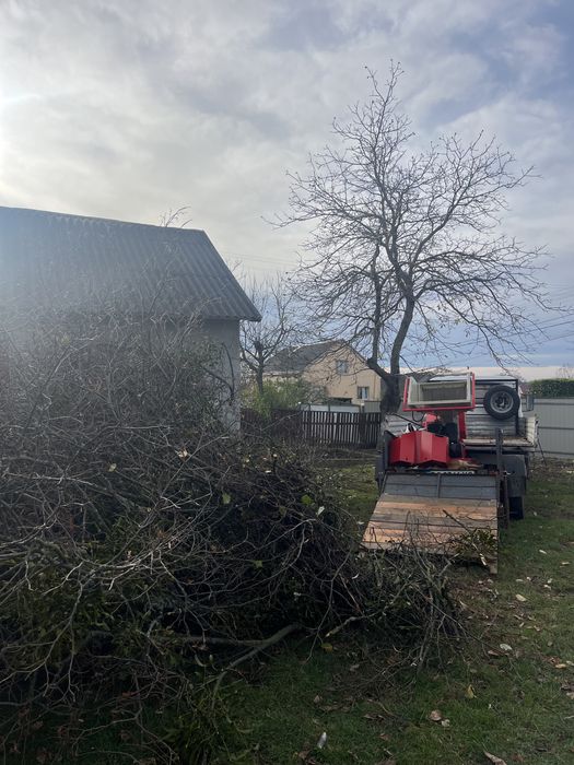 Подрібнення гілок, вивіз гілок, зрізати дерево, зрізання дерев