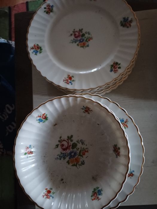 Pratos da vista alegre