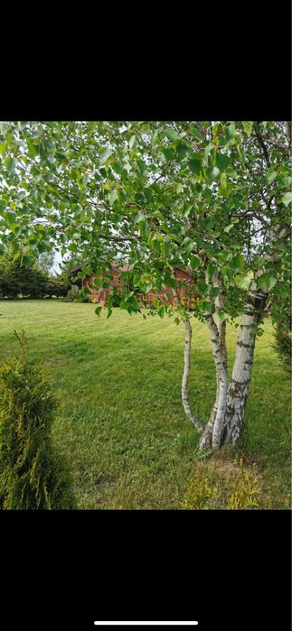 Dzialka inwestycyjna nad morzem z dwoma domkami !!! Polecam