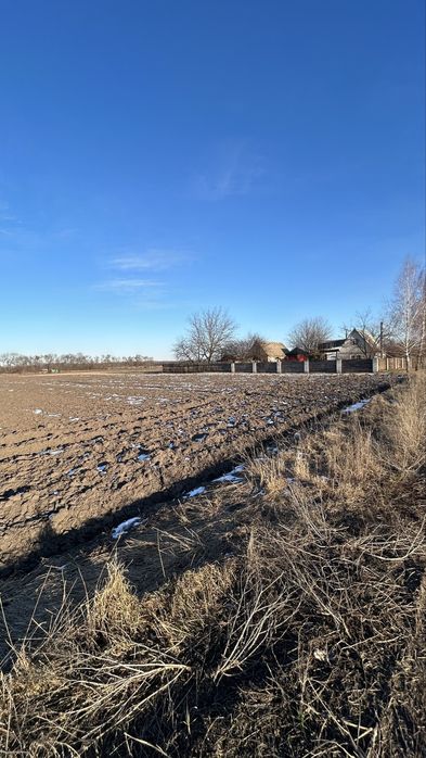 Ділянка 50 соток Паляничинці/ Ковалівка