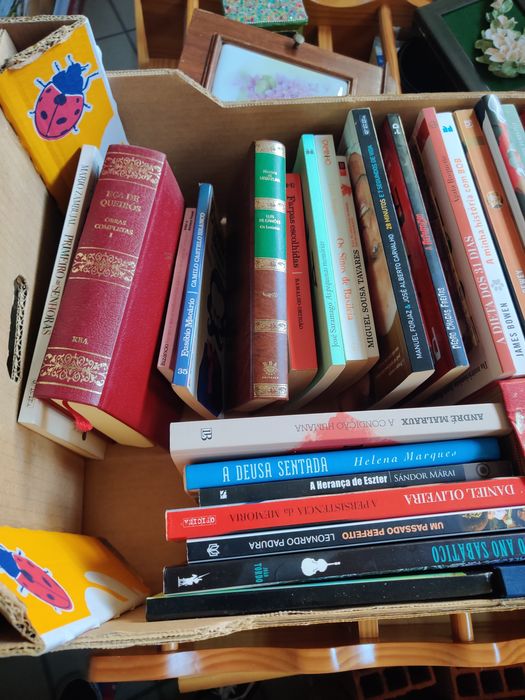 Caixa de livros variados