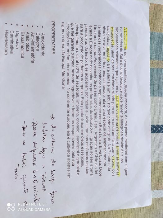 Chá Lúcia Lima biólogico