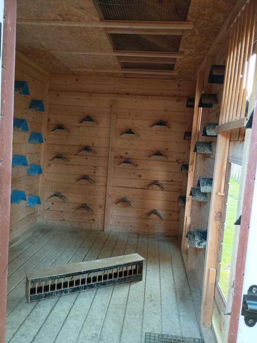 SPRZEDAM! Rewelacyjny Gołębnik Lotowy 3x2m².