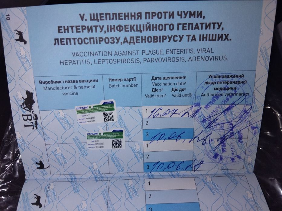 Продам щенка хаска девочка