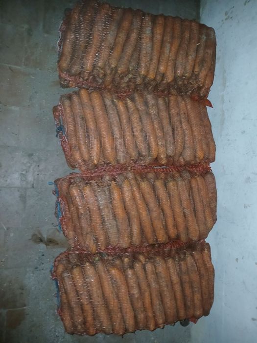 Продам гарну моркву.