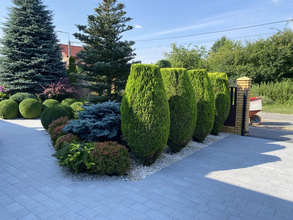 Pielegnacja ogrodow, realizacja projektow oraz montaz nawodnienia