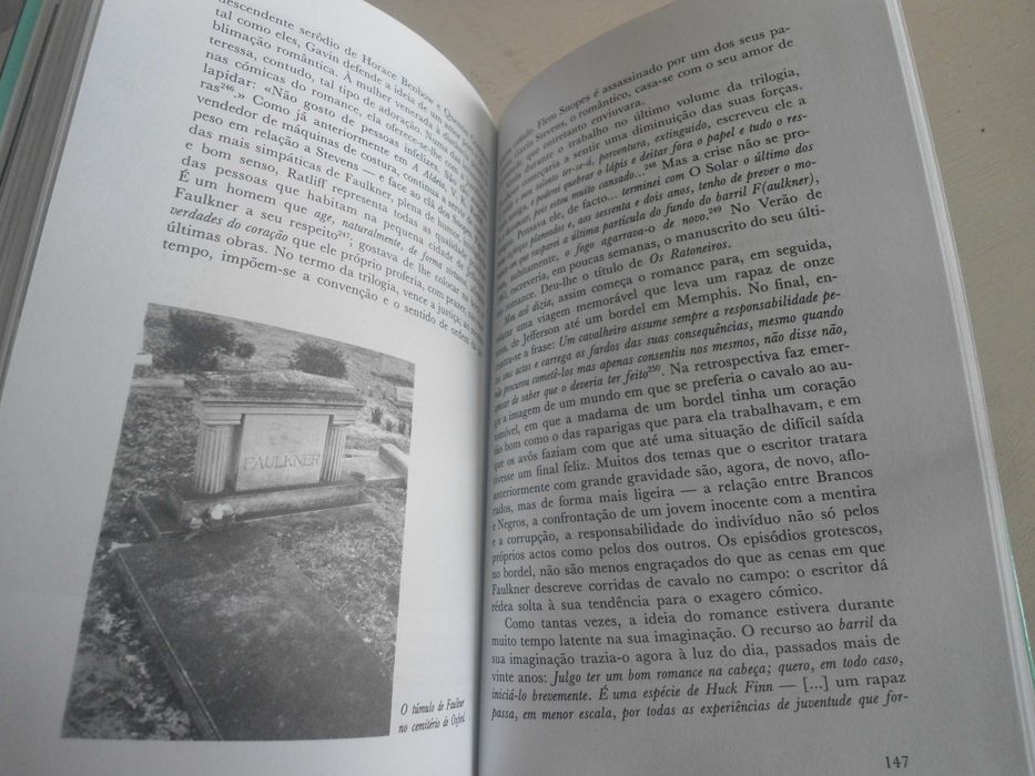 Faulkner por Peter Nicolaisen