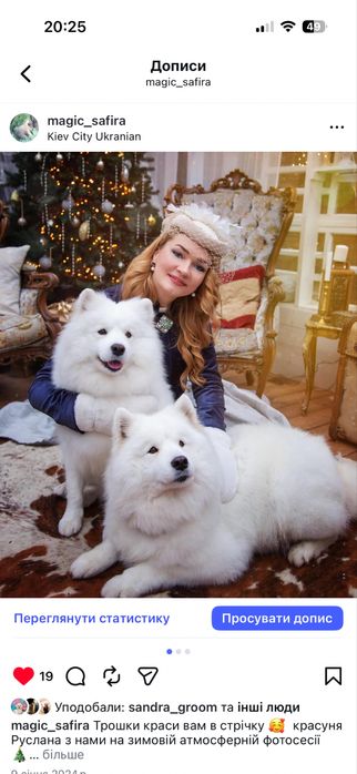 Самоіди для фотосесії. Київ