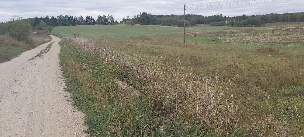 Działki na Mazurach Kuty - View 3