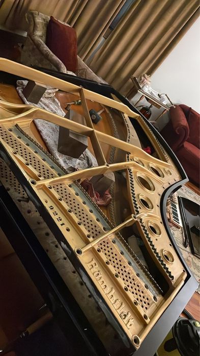Piano 1/4 cauda