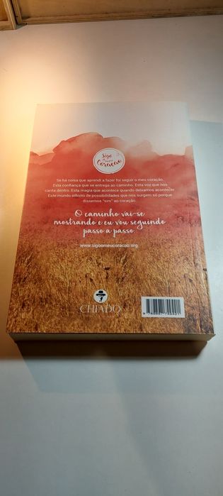 Sigo o Mapa que o meu Coração me Dá - Bárbara Leão de Carvalho
