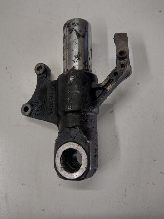 Goleń kawasaki z 1000