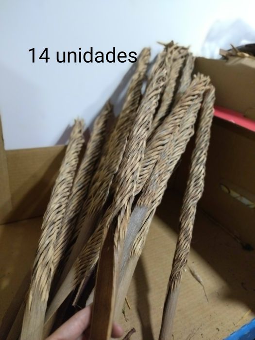 Folhagem/galhos secos preservados