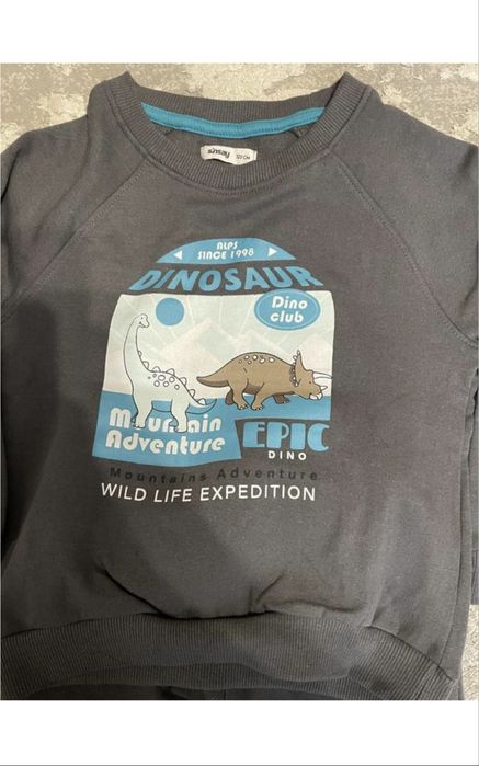 Костюм, кофта, штани, світшот, тостовка