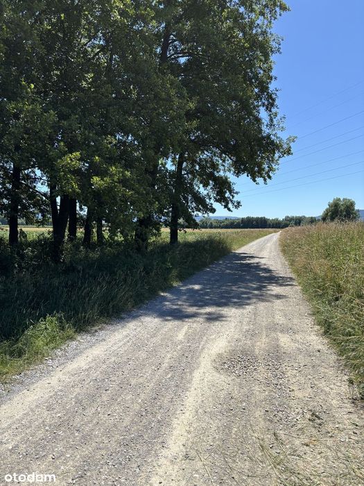 Działka rolna/rekreacyjna 6 900 m2 w Nowej Wsi, oddam w dobre ręce