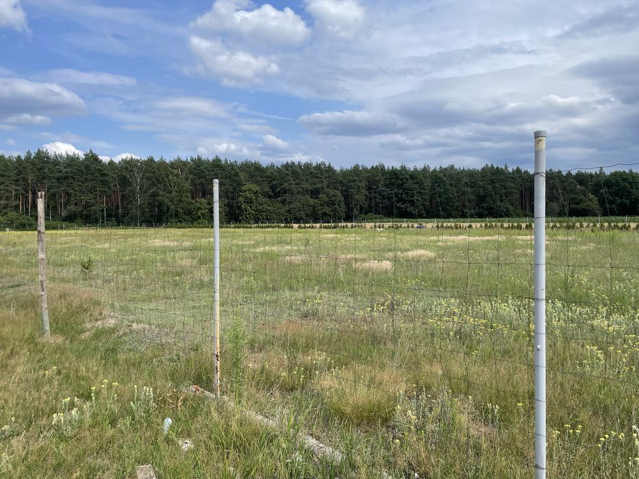 Działka budowlana Lisak 1700m. 100m od lasu. Prąd i woda przy dział