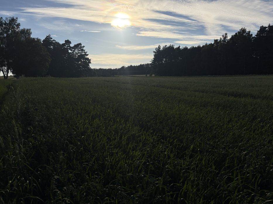 Sprzedam działki budowalne