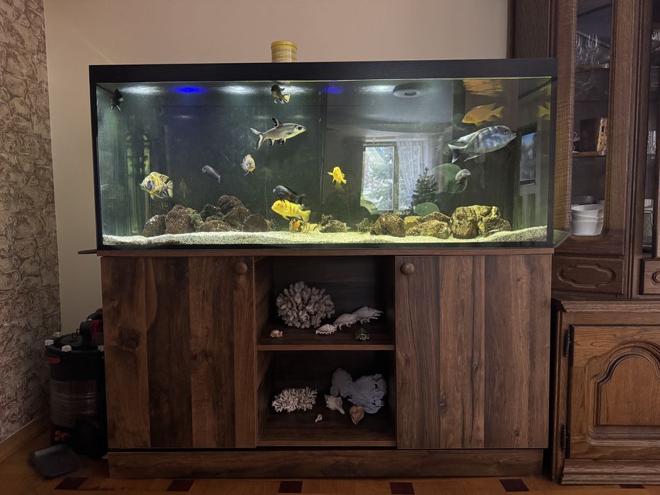 Акваріум 150х50х60 450л