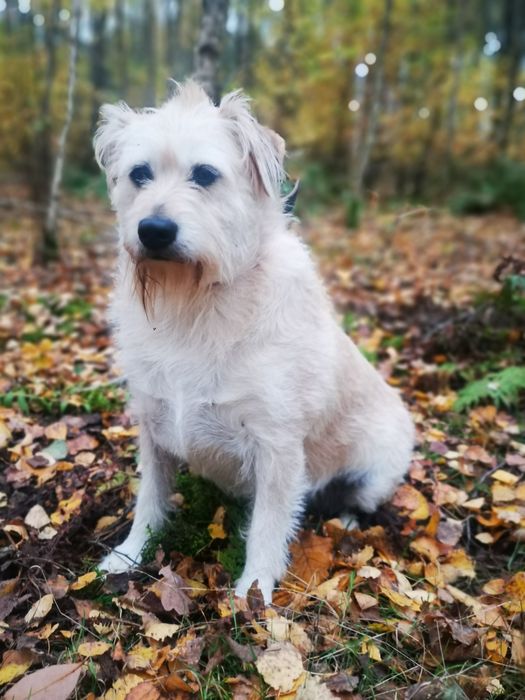 Mila i Kaja szukają domu