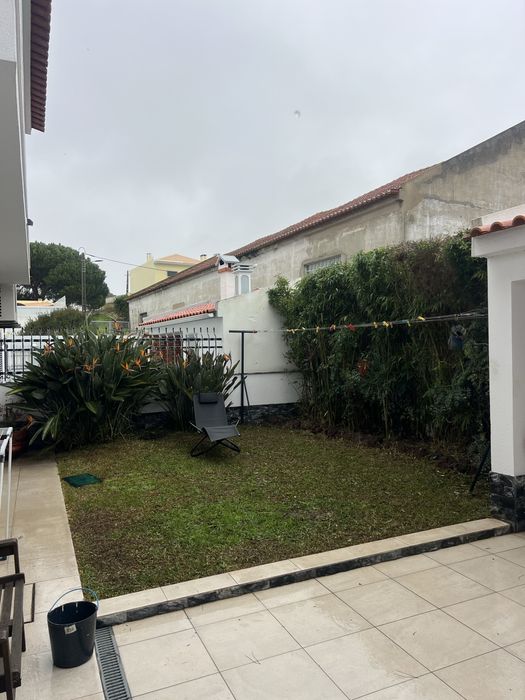 Manutençao e construção de jardins