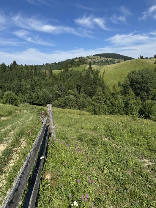 Земельна ділянка в горах Карпатах, Красник, під забудову