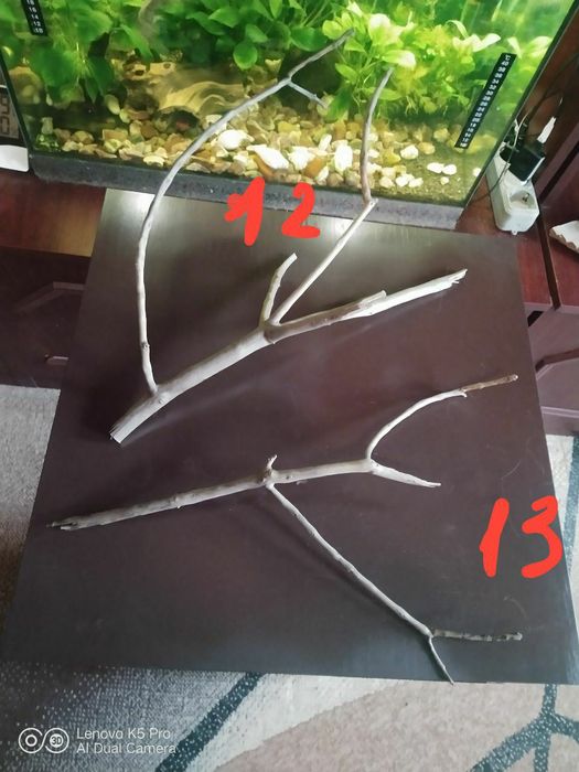 Распродажа коряг