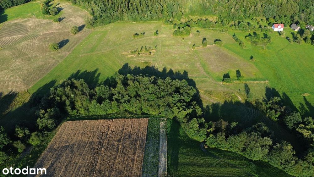 Działka rolna 4,2 ha - zachodni stok, dobra ekspozycja