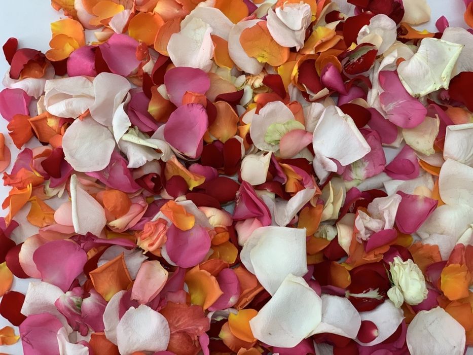 Пелюстки троянд (свіжої троянди)