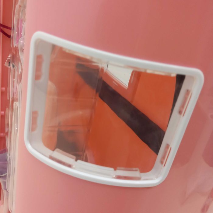 Our Generation: przyczepa do przewozu koni