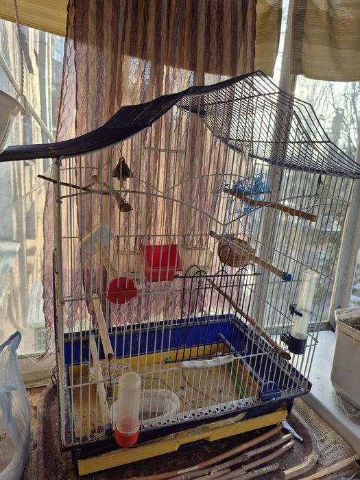 Клітка для птахів