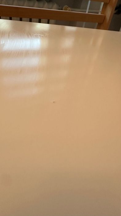 Stół rozkładany Ikea Norden
