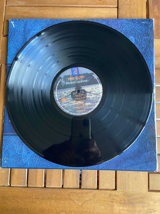 Vendo Pink Floyd mometary lapse of reason