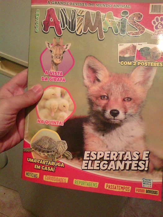 revista panini amigos animais numero 6