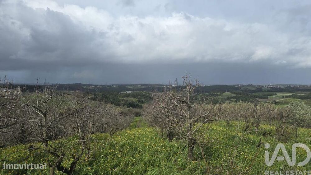 Terreno em Vilar