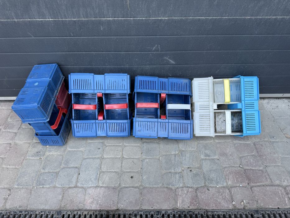 Łubianki plastikowe na truskawki maliny