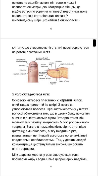 Методичний посібник по манікюру
