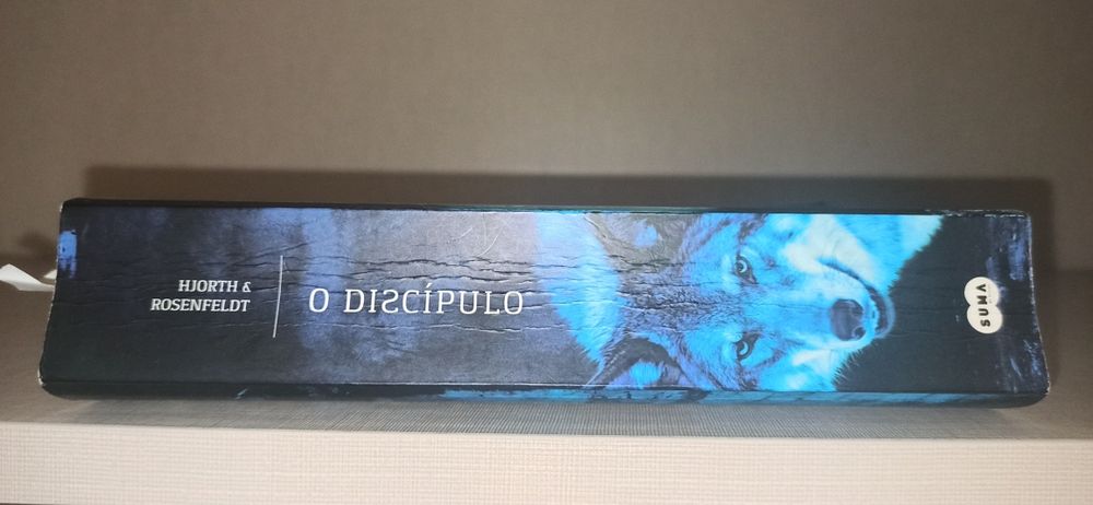 Sebastian Bergman Serie