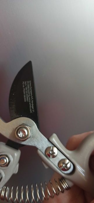 Mały sekator do kwiatów